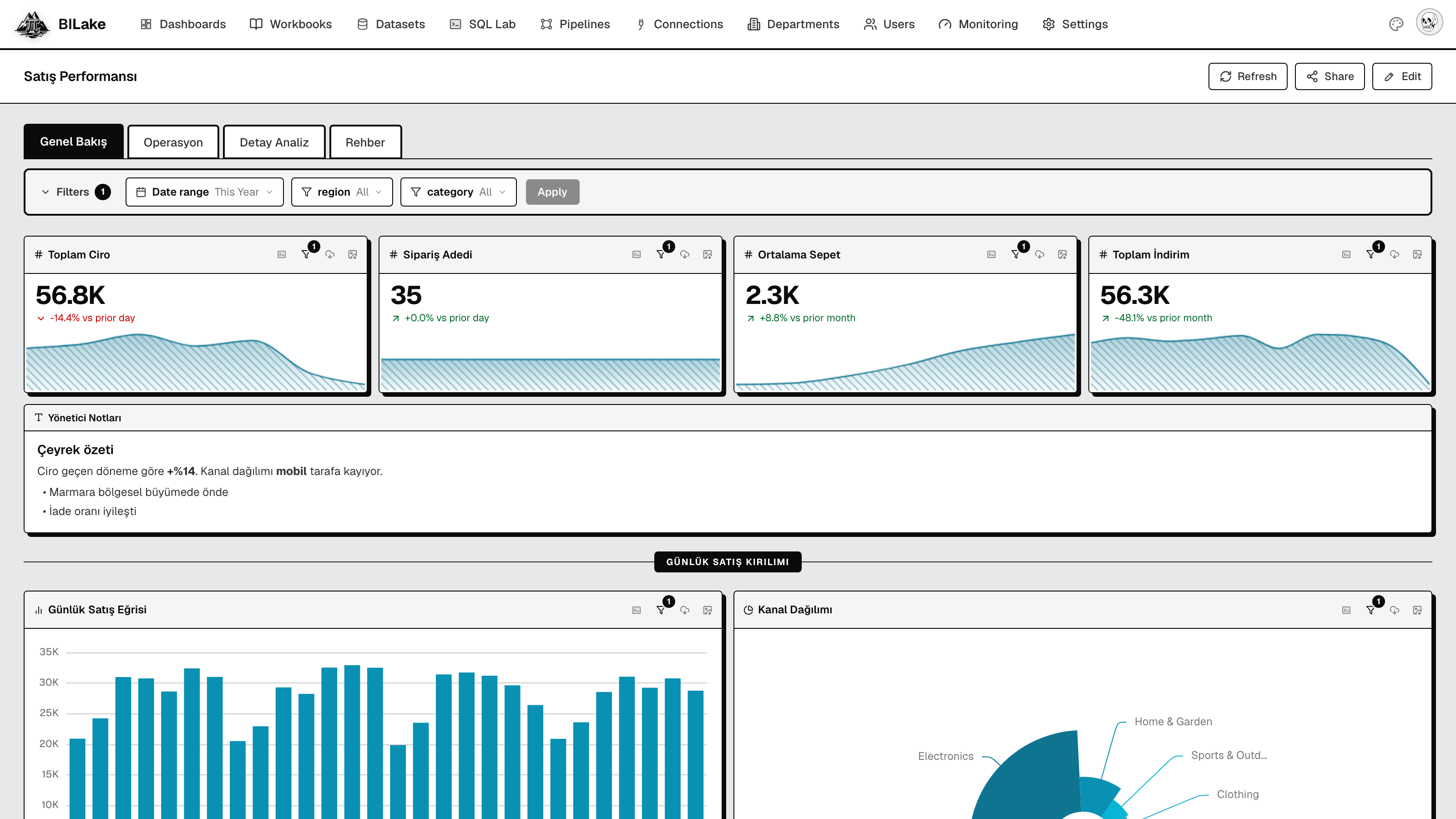 BILake dashboard: KPI cards, charts, filters, and tabbed dashboards